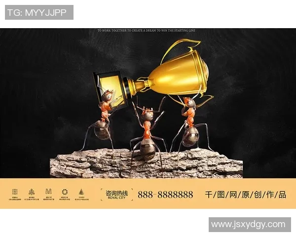 广西威壮篮球崛起之路探索团队精神与地方文化的完美结合